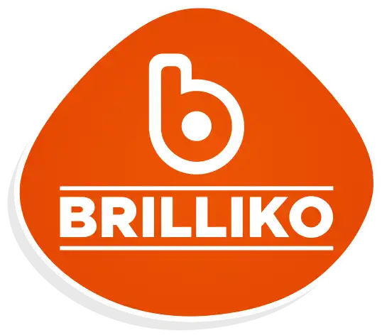 Brilliko Institute of Multimedia